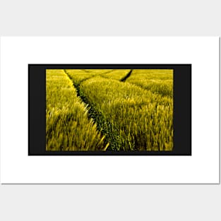 Green Crop Posters and Art